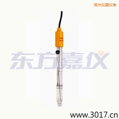 濱州可填充玻璃管電極