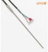 快速響應(yīng)鉑電阻溫度計(jì)