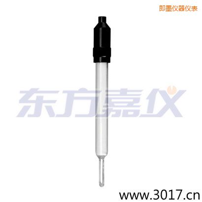 即墨玻璃外殼無溫補兩線電導率電極