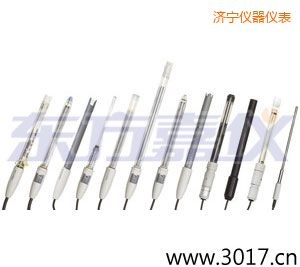 濟寧pH電極