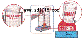 �d�(y��ng)���M(j��n)����ƽ,210g,0.01g