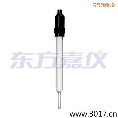 青島玻璃外殼無溫補兩線電導率電極