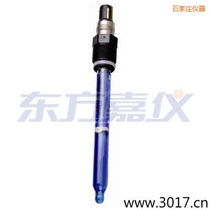 石家莊測(cè)純水,超純水 PH電極