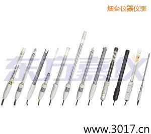 煙臺(tái)離子選擇性電極