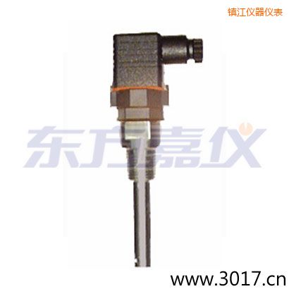 鎮(zhèn)江含有溫度的兩線電導率電極