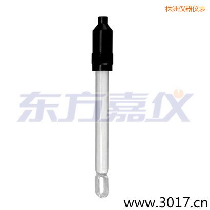 株洲無溫補(bǔ)兩線電導(dǎo)率電極