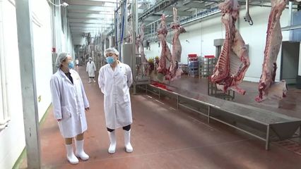 【壮丽70年·奋斗新时代】高质量发展的民营经济 | 内蒙古伊赛牛肉:打造肉牛全产业链发展模式